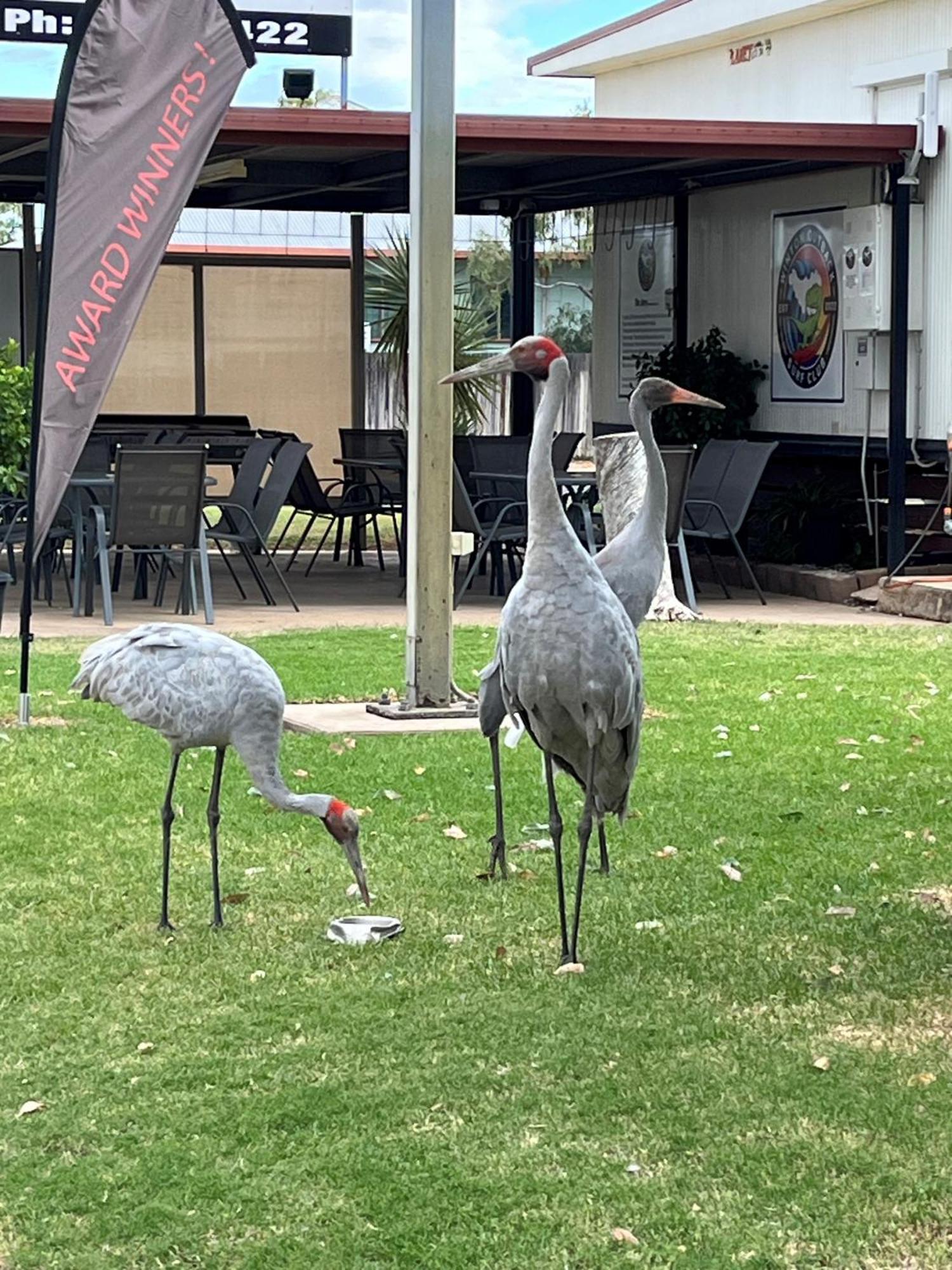 Winton Outback Motel Экстерьер фото