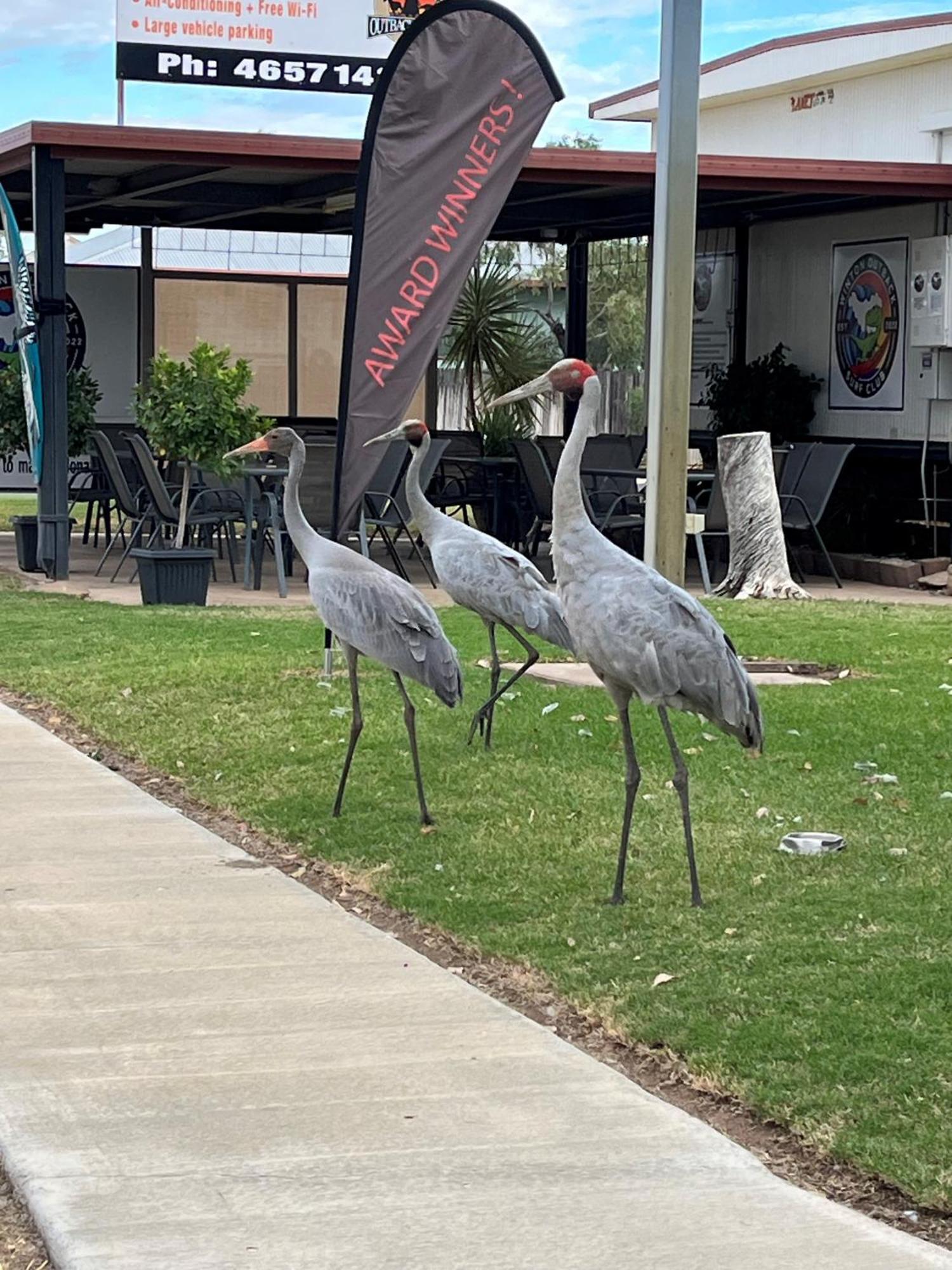 Winton Outback Motel Экстерьер фото