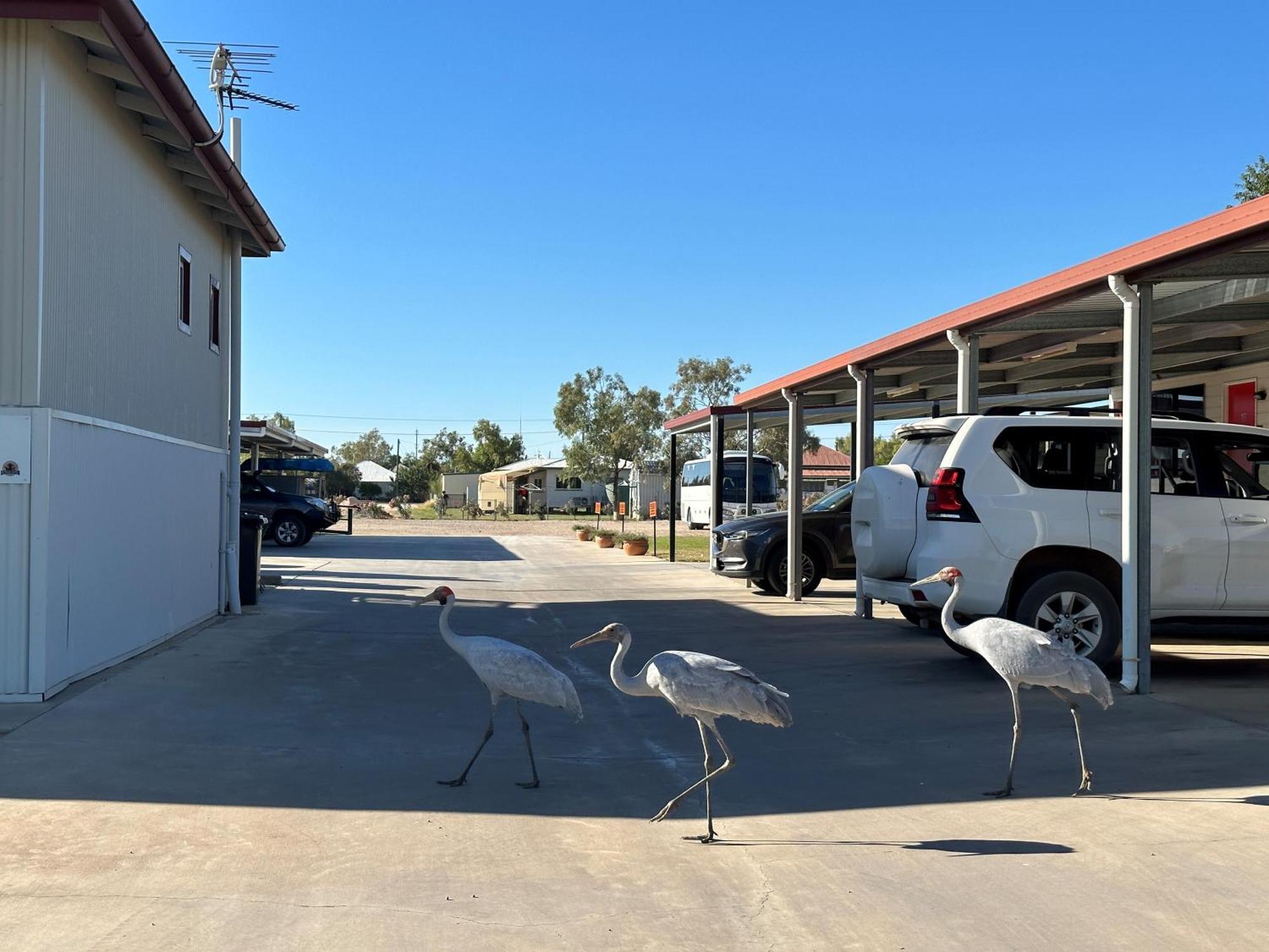 Winton Outback Motel Экстерьер фото